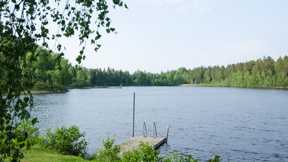 En sjö där man ser den gröna strandkanten och en brygga som går ut i vattnet, och bortanför sjön ser man skog. 