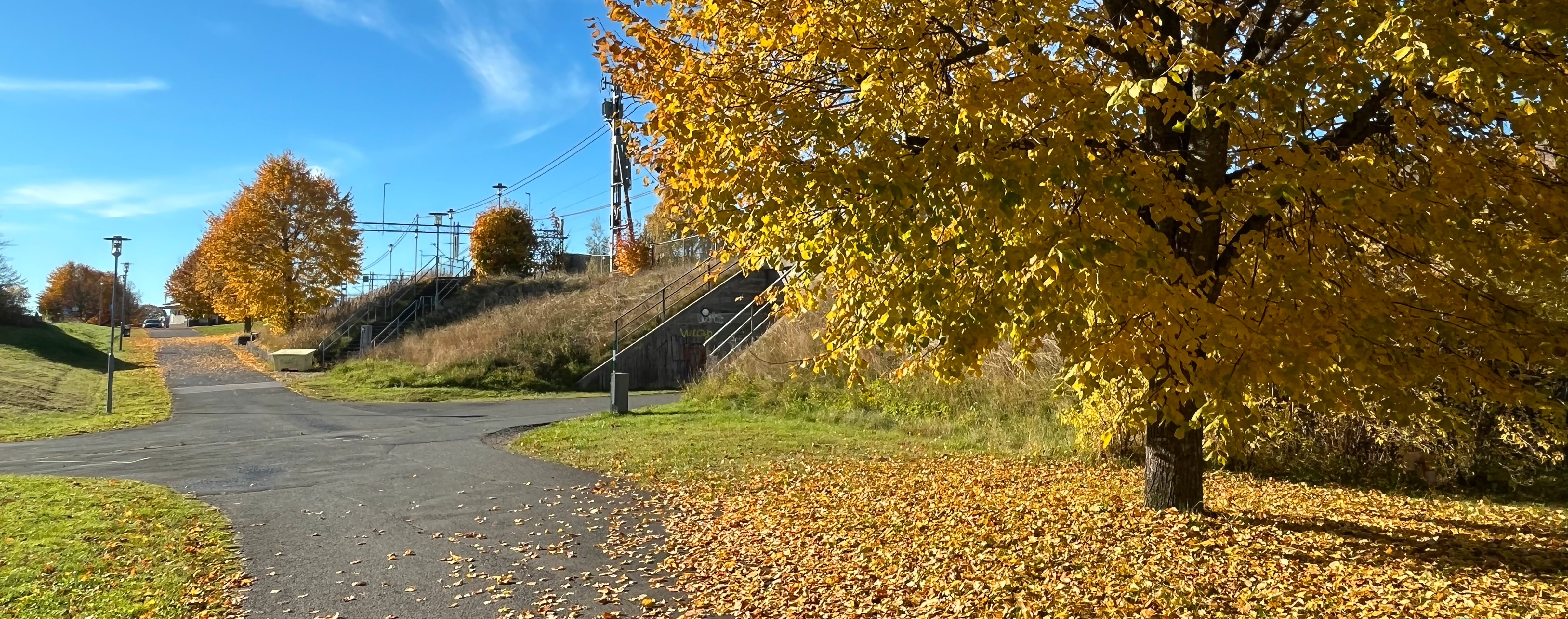 Höstlandskap med en asfalterad gång- och cykelväg som delar sig i flera riktningar. Ett stort träd med gula höstlöv står i förgrunden och marken är täckt av nedfallna löv. I bakgrunden syns gräsytor, fler träd i höstfärger och en trappa upp mot järnvägsområdet under en klarblå himmel.