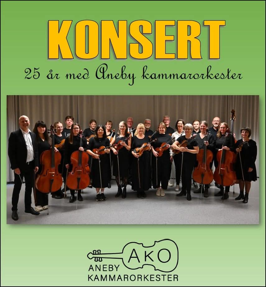 En grupp men människor som är med i orkestern. 