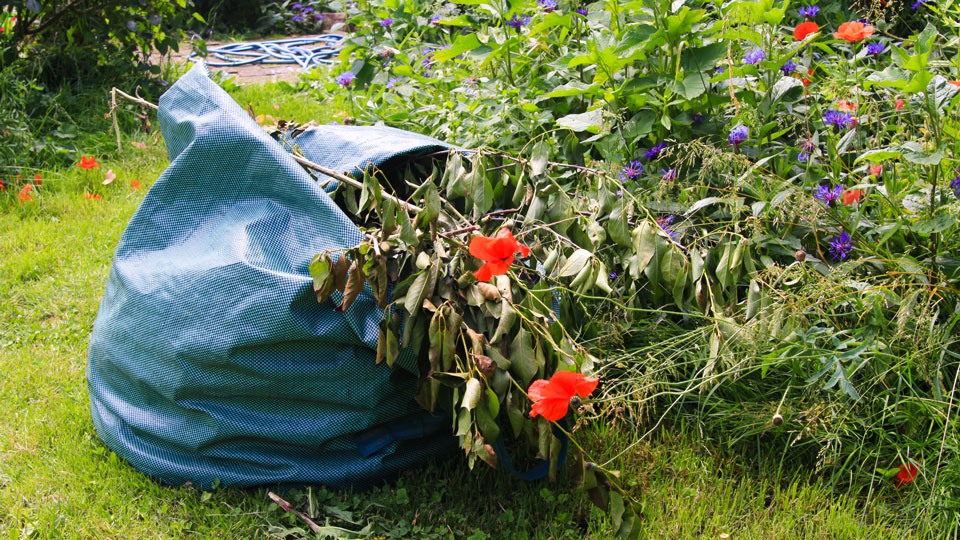Plastpåse i en trädgård fylld med trädgårdsavfall. Foto.