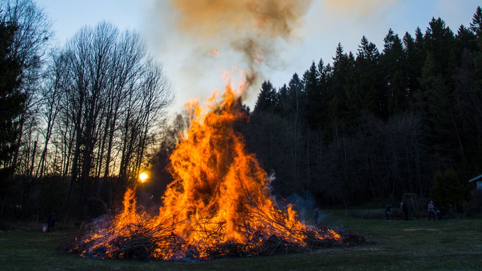 Brinnande brasa med skog i bakgrunden. Foto.
