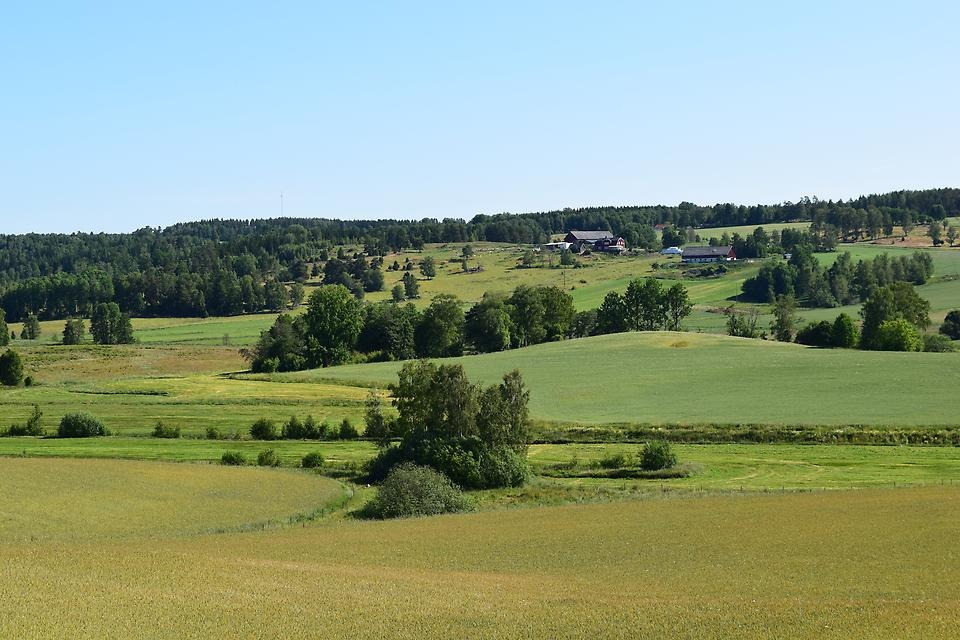 Åkrar, ängar och blå himmel i Aneby. Foto