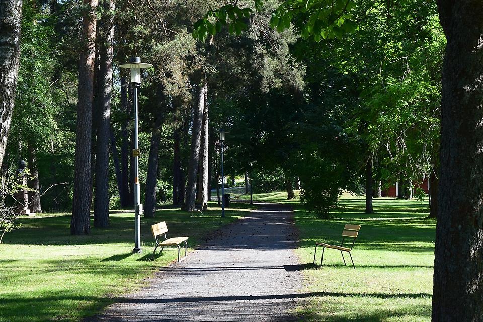 Gångväg, bänkar och träd i Svartåparken i Aneby kommun. 