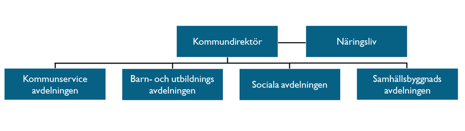 Illustration över organisationsen i Aneby kommun