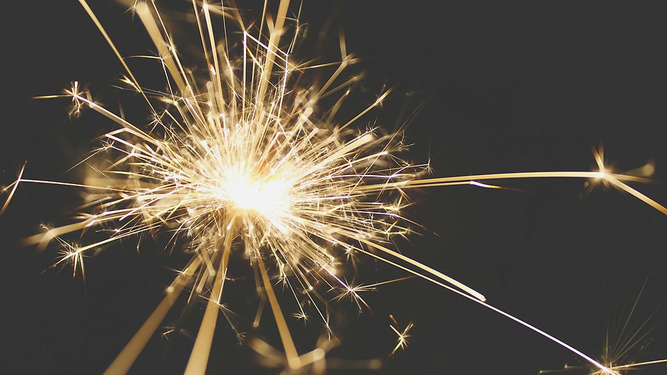 Närbild på tomtebloss. Foto 